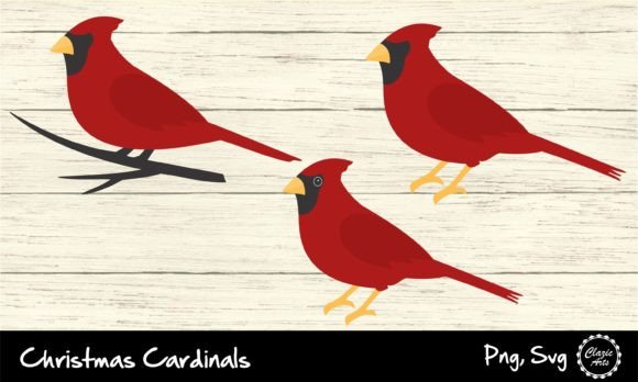 Christmas Cardinals: Festive Illustrations for Brands