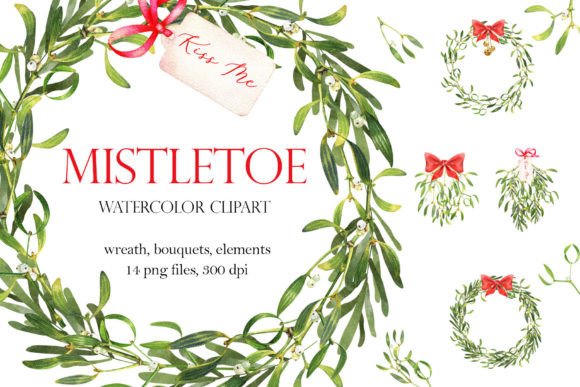 Christmas Greenery Bouquet, Mistletoe Png: Premium Illustrations