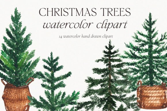 Review: Watercolor Christmas Pine Tree Clipart for Stitching