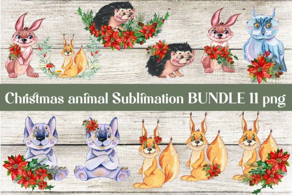 Winter Png & Christmas Animals Clipart for Illustrations